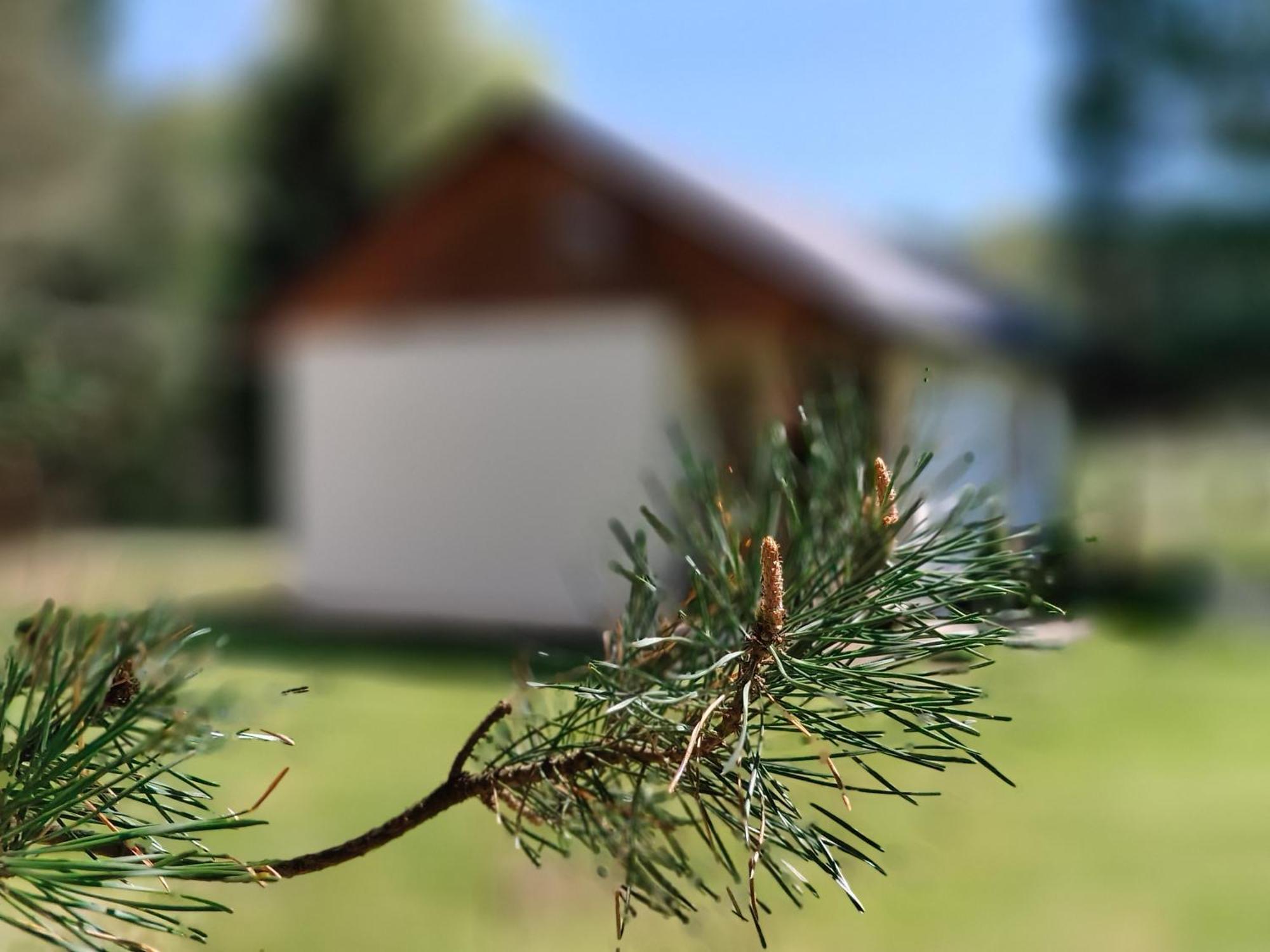 Chatki Lesniczego Bukowiec  Buitenkant foto